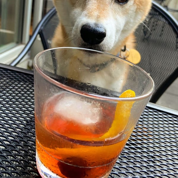 A Shiba Inu dog curiously sniffs a cocktail with an orange peel on an outdoor patio table.